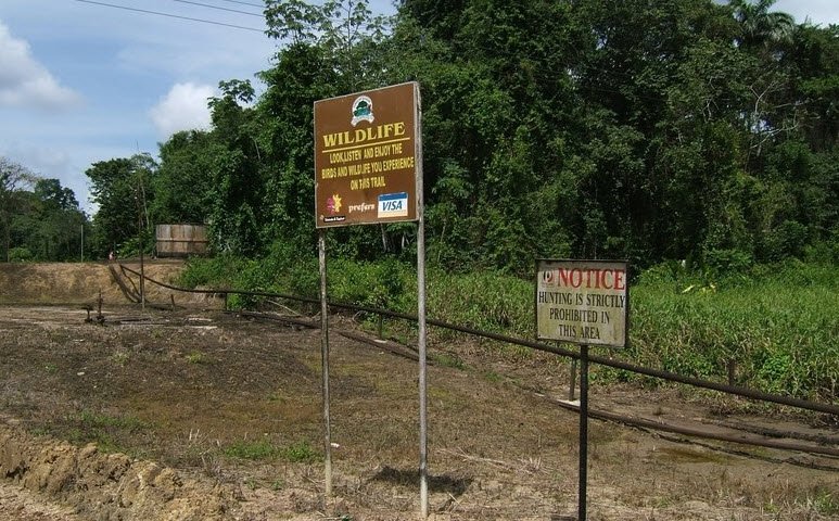 Trinity Hills Wildlife Sanctuary, Southern Trinidad, Trinidad and Tobago